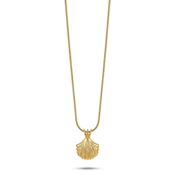 Golden Shell Necklace