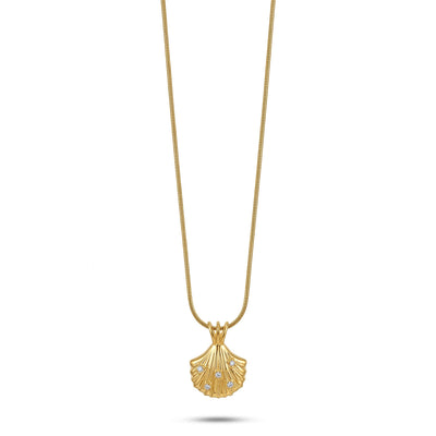 Golden Shell Necklace