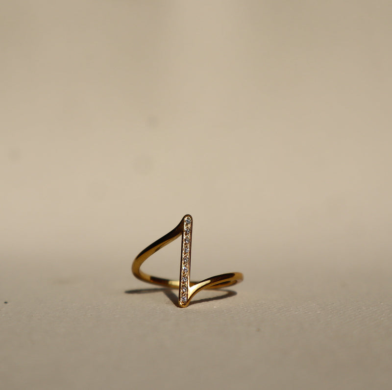 Horizon RIng