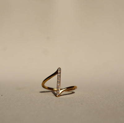 Horizon RIng